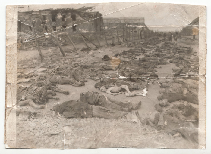 Auschwitz tömegsírjának exhumálása
