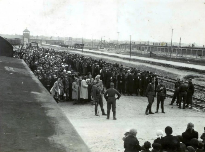 Újonnan érkezők csorportositása, Auschwitz-Birkenau