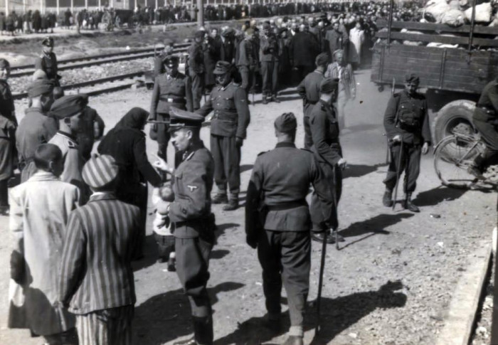 Szelekció, Auschwitz-Birkenau