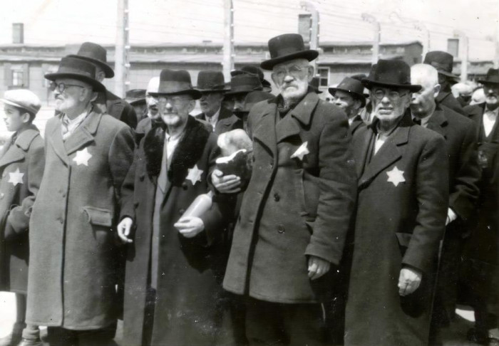Csoportosításra váró férfiak sárga csillaggal, Auschwitz-Birkenau