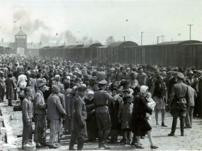 Rabok, újonnan érkezők, SS tisztek, Auschwitz-Birkenau