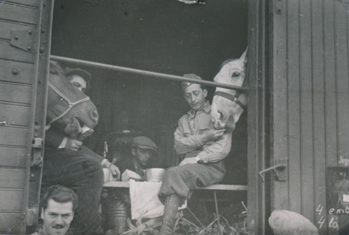 Munkaszolgálatosok lovakkal egy vasúti kocsiban