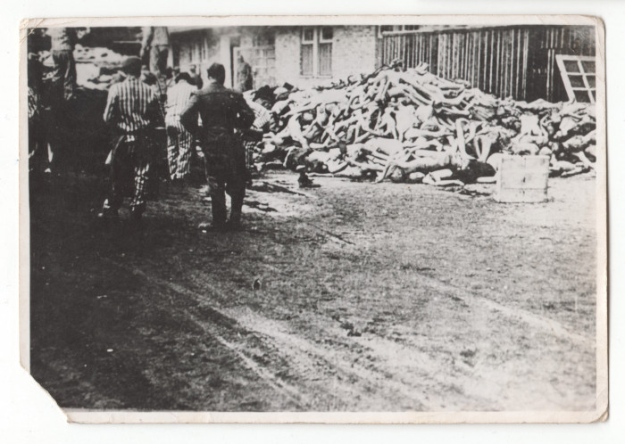 Holttestek a dachaui táborban