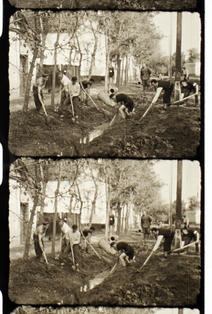 Munkaszolgálatosok árkot ásnak a csatornának